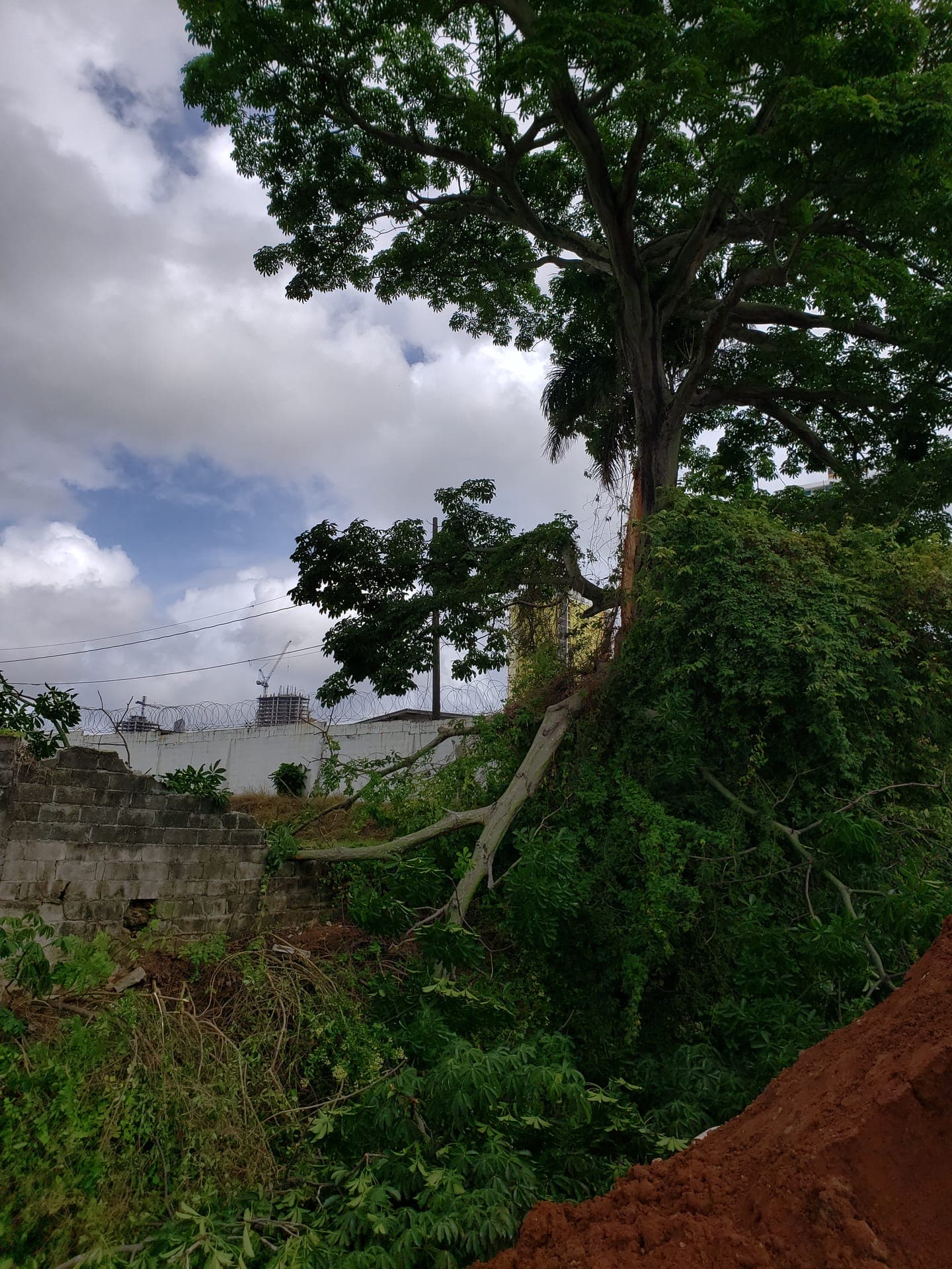Cementerio Judío — Antes