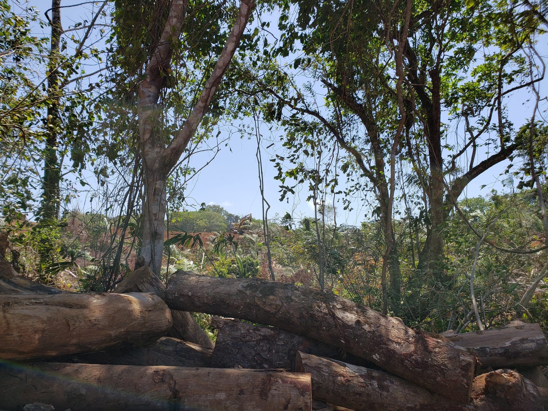 Proyecto Los Lagos N°2 — Antes